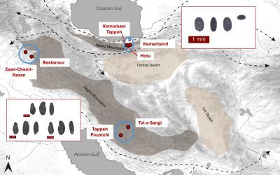 Using early plant remains to understand transmission of farming eastwards through Iran into Asia